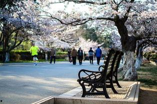 中山公园最新爆料信息,神秘古建筑群惊现,历史之谜待解 第2张 中山公园最新爆料信息,神秘古建筑群惊现,历史之谜待解 第2张