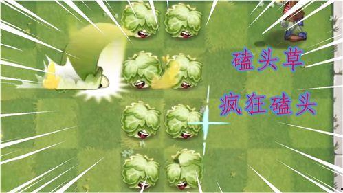 植物图片视频可以爆料吗,揭秘自然界的绿色宝藏  第3张