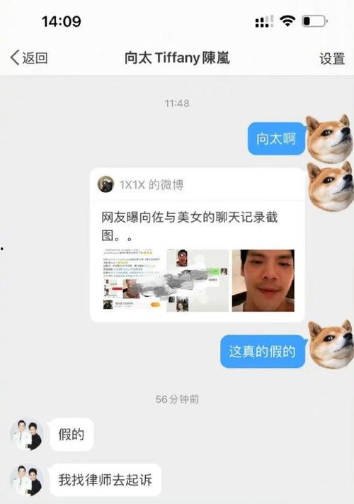 娱记爆料向佐是谁啊视频,向佐是谁？视频曝光背后的故事